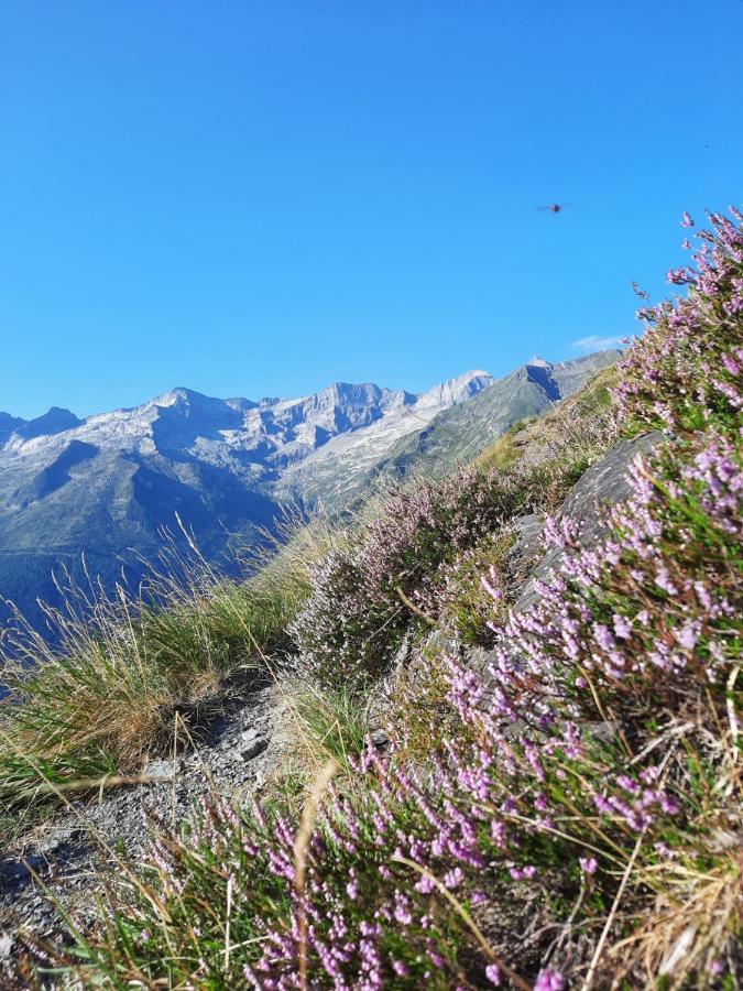 Plein Sud Apartment Saint-Aventin Luaran gambar